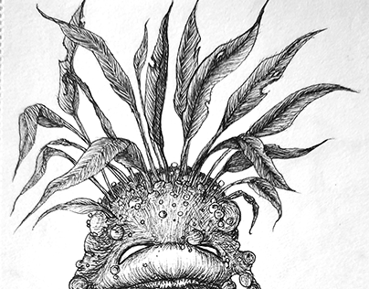 Mandrake (or beet that were forgotten in the cellar).