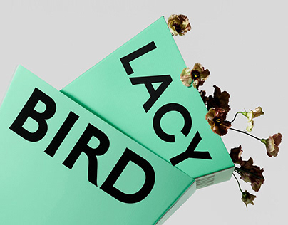 Lacy Bird Brand Identity