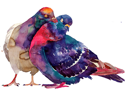 watercolor birds