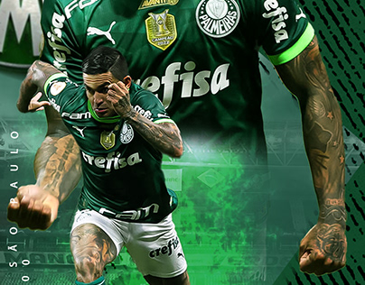 Match Day Palmeiras x São Paulo