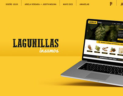 Diseño UX/UI Insumos Lagunillas