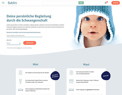 Babini - Website for a baby & parents fair