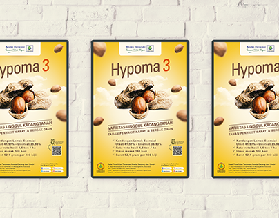 New peanut varieties HYPOMA 3 for ILETRI