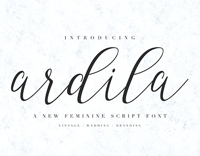 Ardila Script Font