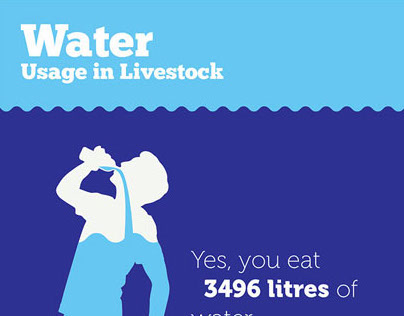 Water Usage in Livestock - InfoGraphics