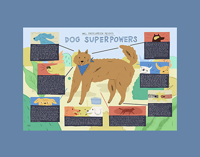DOG SUPERPOWERS