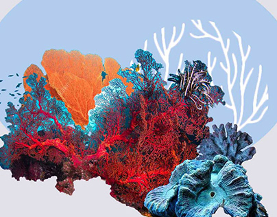 Corals- fashion designing project
