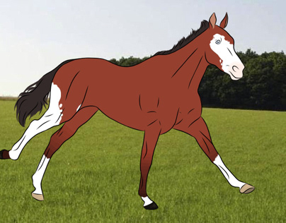 Thourobred Horse