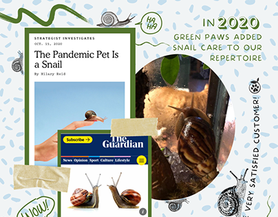Snails: Pandemic Pet of 2020