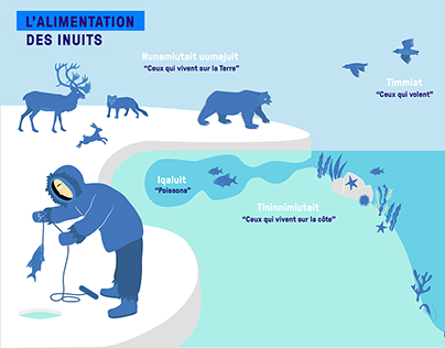Arctic Ocean scientific infographics