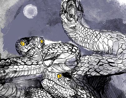 Illustration | Enchanted Serpents