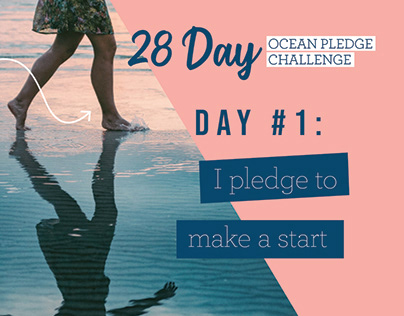 Project thumbnail - Ocean Pledge Challenge