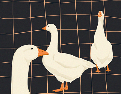 goose illustration