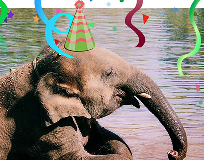 Birthday Email Design