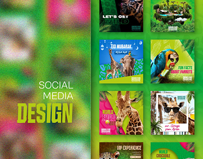Zoo | Social media design