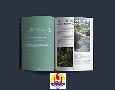 Brochure pour La Direction de L'environnement