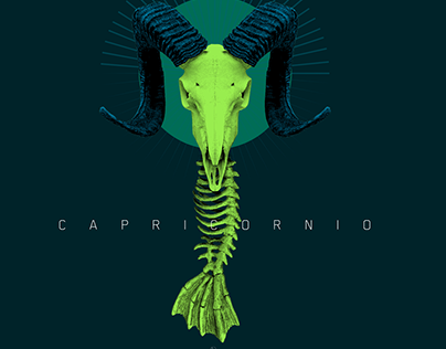 CAPRICORNIO Single Cover for Sakre