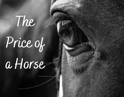 The Price of a Horse