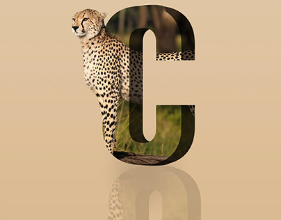 "C-Tiger: A Ferocious Creation in Text Design"