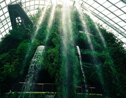 Cloud Forest, Gardens by the bay, Singapore