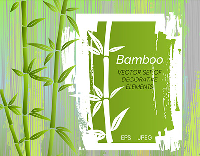 Bamboo vector elements collection.