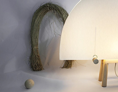 Eco-design of a convertible lamp : Mating Dance