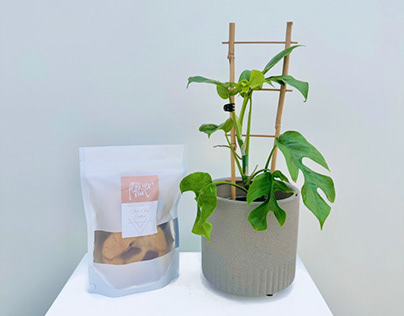 The Stone Pot Monstera + Chunky Choc Chip Cookie Combo