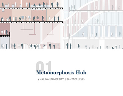 Metamorphosis Hub - Thesis