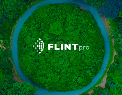 FLINTpro Rebranding and Web
