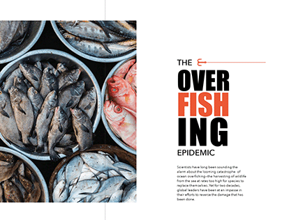 The Overfishing Epidemic