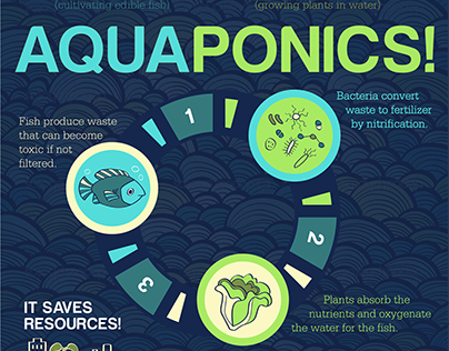 Aquaponics infographic