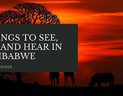 Things to See, Do and Hear in Zimbabwe - Shane Krider