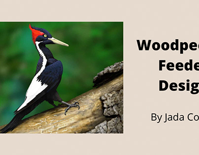 Woodpecker feeder design