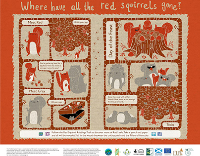 Red Squirrel Board (Centre for Stewardship, 2014)