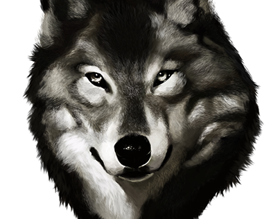 Wolf digital painting