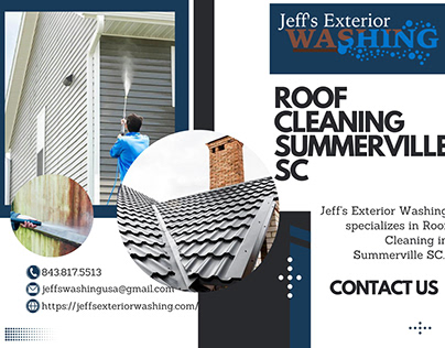 Best Roof Cleaning in Summerville, SC