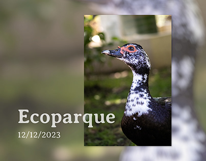 Ecoparque - 12/12/23