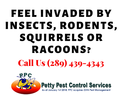 The Significance of Waterloo Pest Control Services