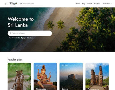 Web Design for Travel Website