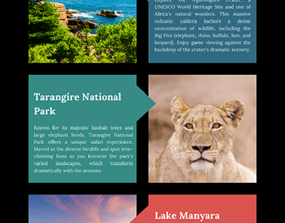 The top 5 safari destinations in Tanzania