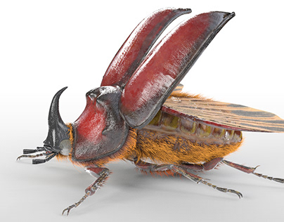 Rhino Beetle 3d model cinema 4d rigged hairs redshift