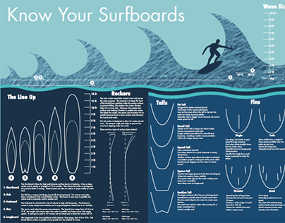 Surfboard Infographic