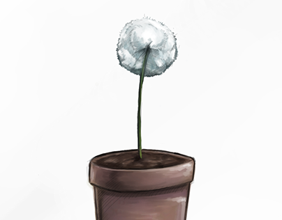 dandelion pott