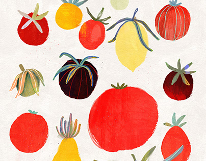 Tomatoes illustration