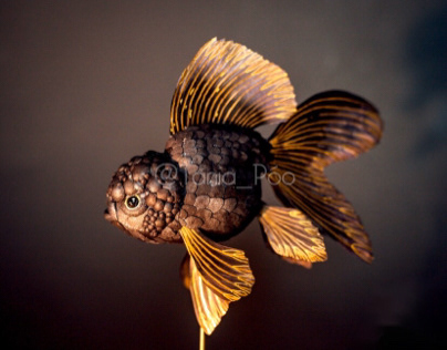 Black Oranda Goldfish