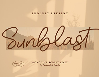 Sunblast - Monoline Script Font