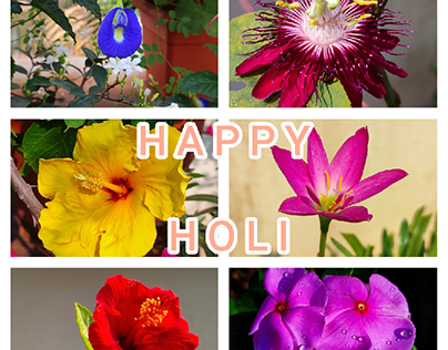 Happy Holi
Festival Of Colours