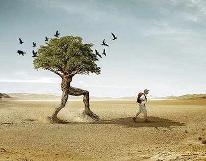 Tree & Bird love