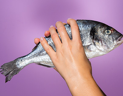Eco de Voces: Arte contra la Salmonicultura