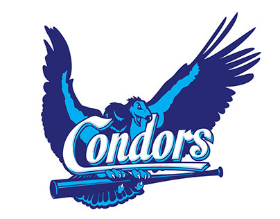 de Sittard Condors baseball & softball club re-branding